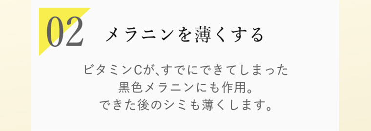 02 メラニンを薄くする ビタミンCが、すでにできてしまった黒色メラニンにも作用。できた後のシミも薄くします。