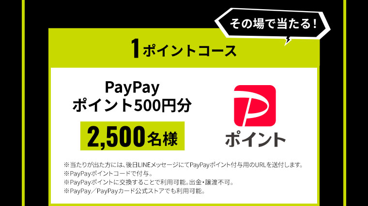その場で当たる！1ポイントコース PayPayポイント500円分 2,500名様