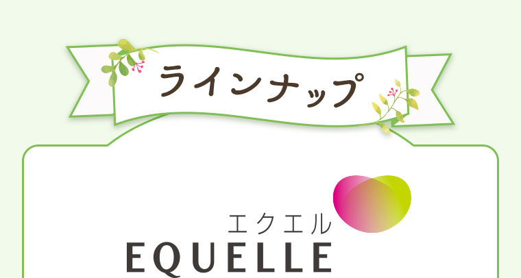 ラインナップ　エクエル