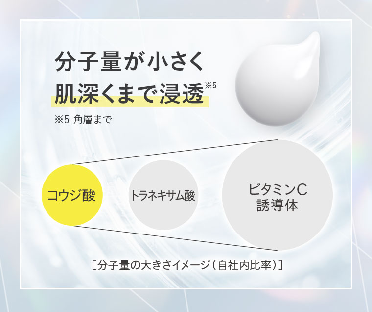 分子量が小さく肌深くまで浸透