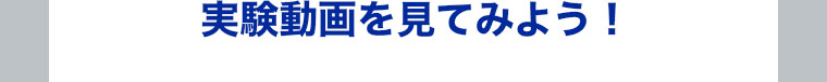 実験動画を見てみよう！