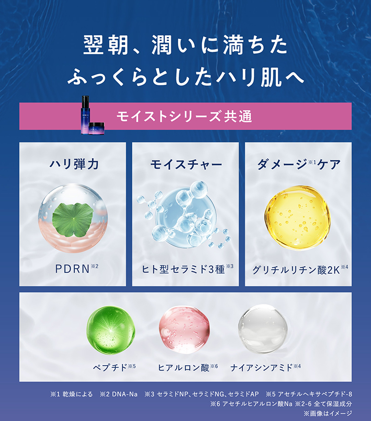 翌朝、潤いに満ちたふっくらとしたハリ肌へ