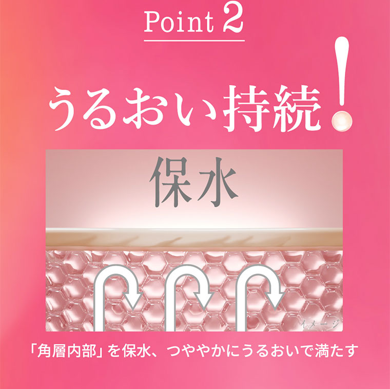 Point 2 うるおい持続! 保水。「角層内部」を保水、つややかにうるおいで満たす