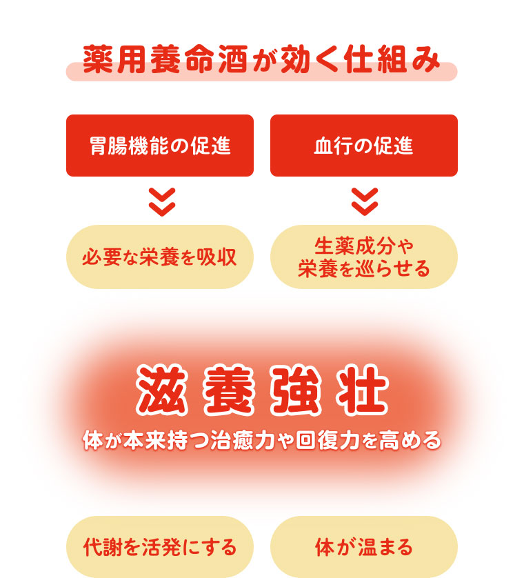 薬用養命酒が効く仕組み 胃腸機能の促進 必要な栄養を吸収 血行の促進 生薬成分や栄養を巡らせる 滋養強壮 体が本来持つ治癒力や回復力を高める 代謝を活発にする 体が温まる