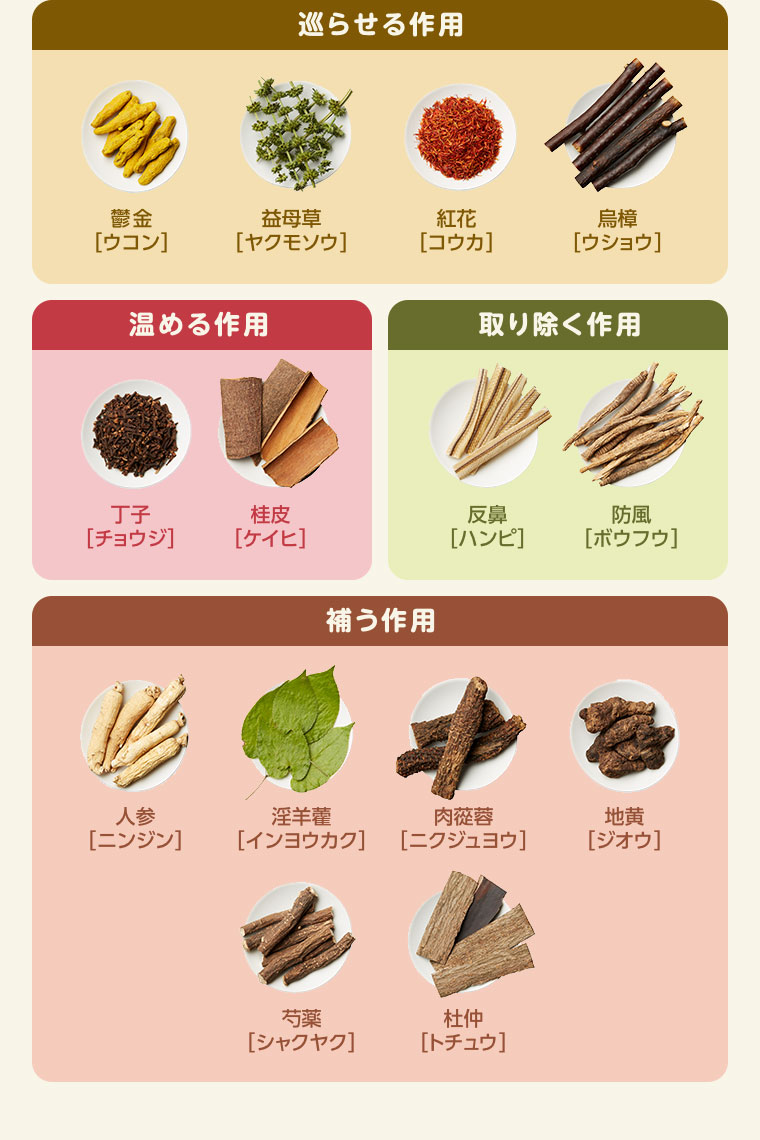 (薬効成分の詳細は本画像をご確認ください)
