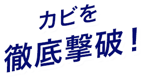 カビを徹底撃破！