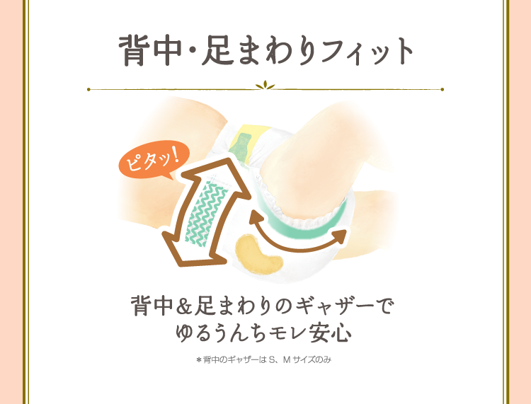 背中・足まわりフィット