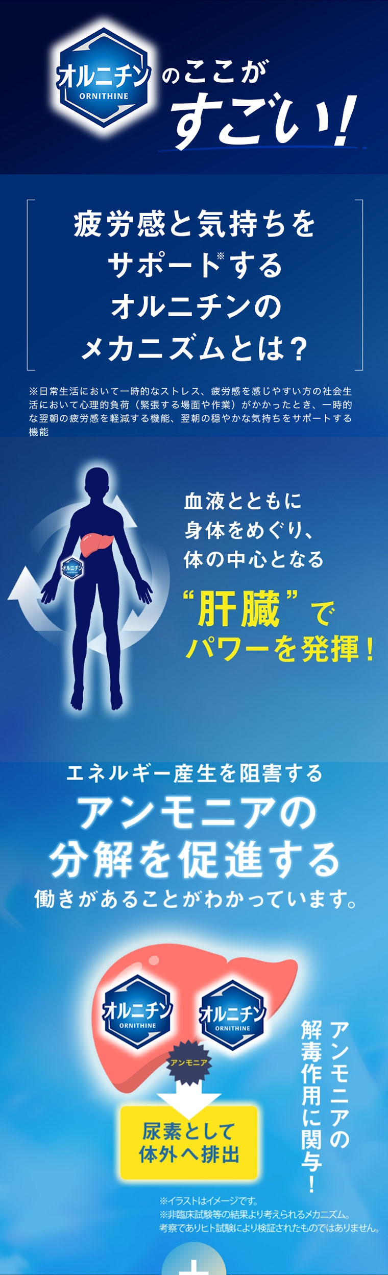 オルニチンのここがすごい！