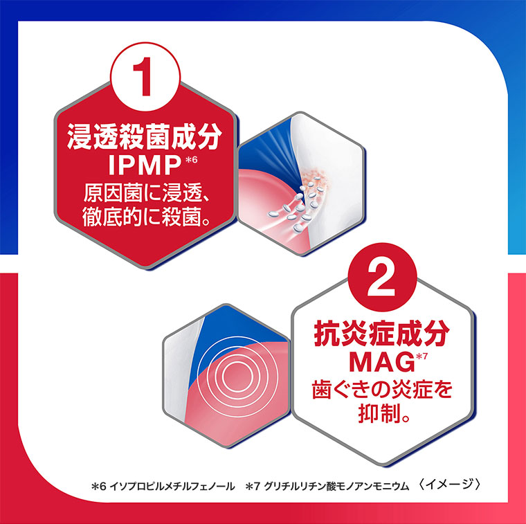1.浸透殺菌成分IPMP。原因菌に浸透、徹底的に殺菌。2.抗炎症成分MAG。歯ぐきの炎症を抑制。イメージ(本画像をご確認ください)。注釈(詳細は本画像をご確認ください)。