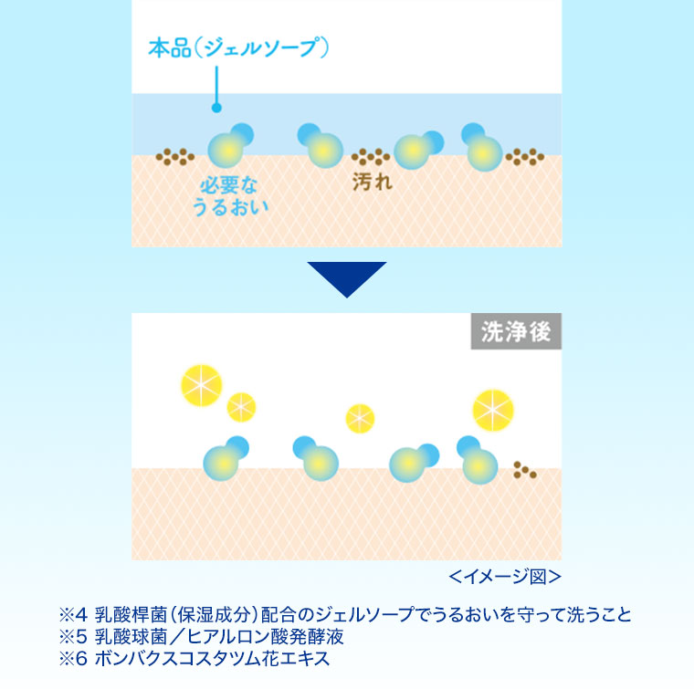 イメージ(本画像をご確認ください)。注釈(詳細は本画像をご確認ください)。