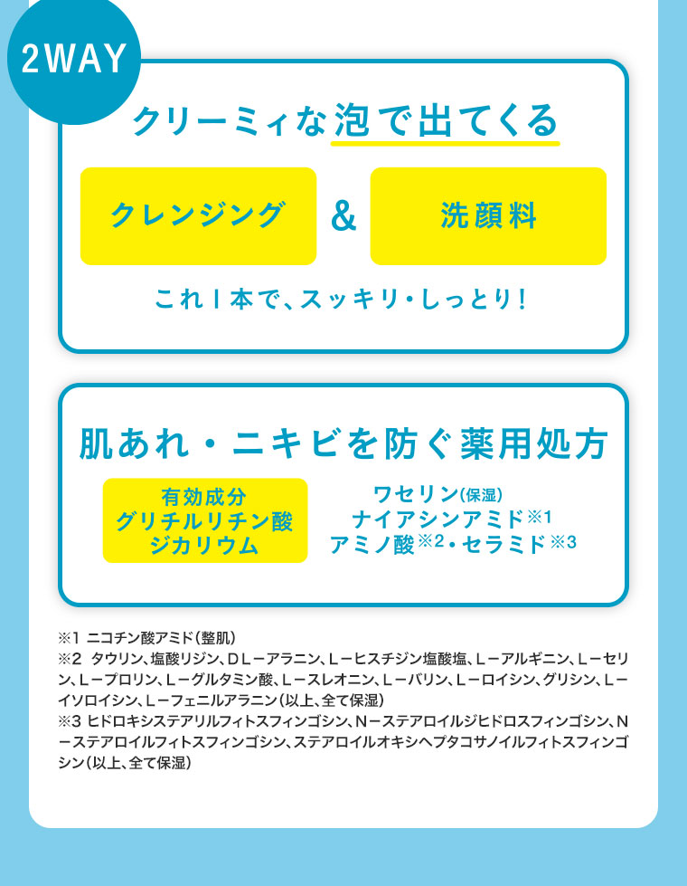 2WAY。クリーミィな泡で出てくるクレンジング＆洗顔料。これ1本で、スッキリ・しっとり！肌あれ・ニキビを防ぐ薬用処方。有効成分。グリチルリチン酸ジカリウム。ワセリン（保湿）、ナイアシンアミド、アミノ酸、セラミド配合。注釈(詳細は本画像をご確認ください)。