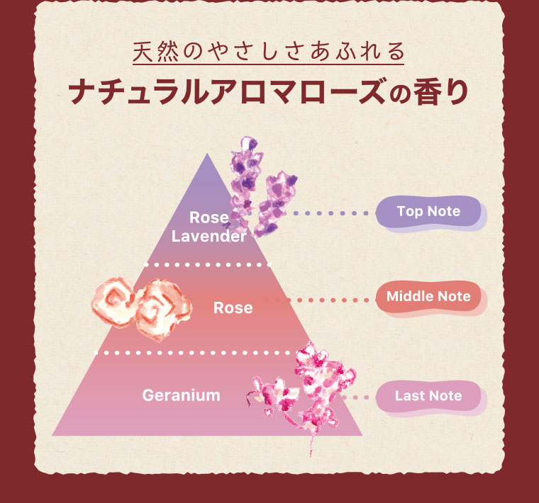 天然のやさしさあふれるナチュラルアロマローズの香り。図(本画像をご確認ください)。