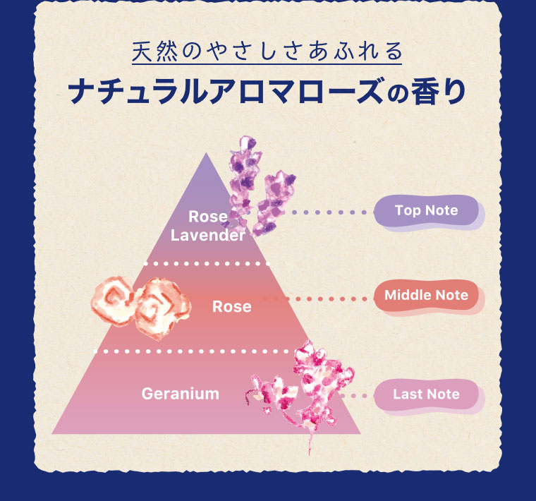 天然のやさしさあふれるナチュラルアロマローズの香り。図(本画像をご確認ください)。