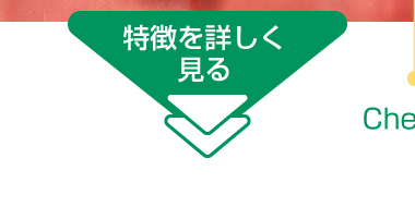 デンタルペーストの特徴を詳しく見る