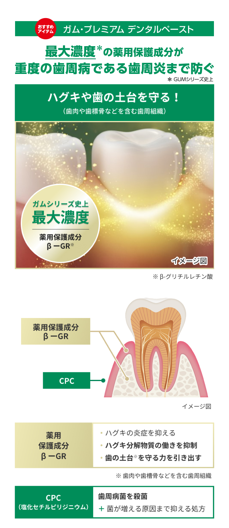 おすすめアイテム　ガム・プレミアム デンタルペースト