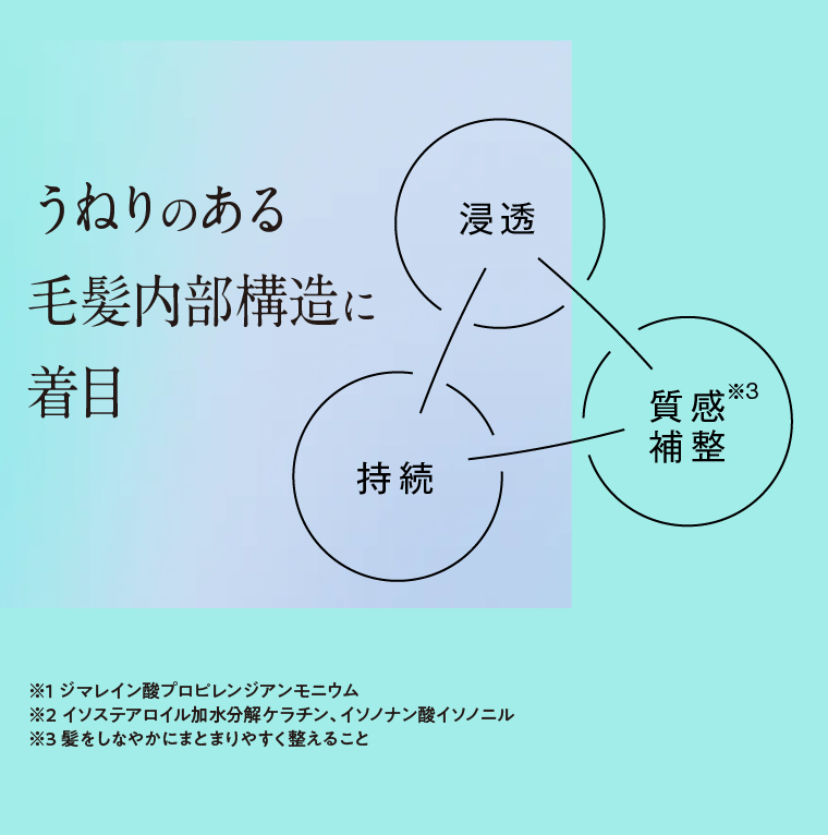 うねりのある毛髪内部構造に着目