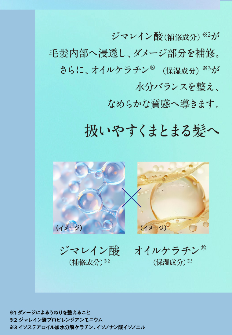 ジマレイン酸（補修成分）×オイルケラチン®（保湿成分）