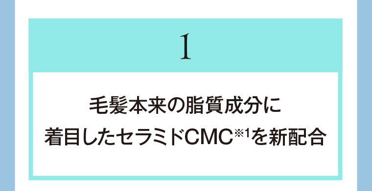 1　毛髪本来の脂質成分に着目したセラミドCMC※1を新配合