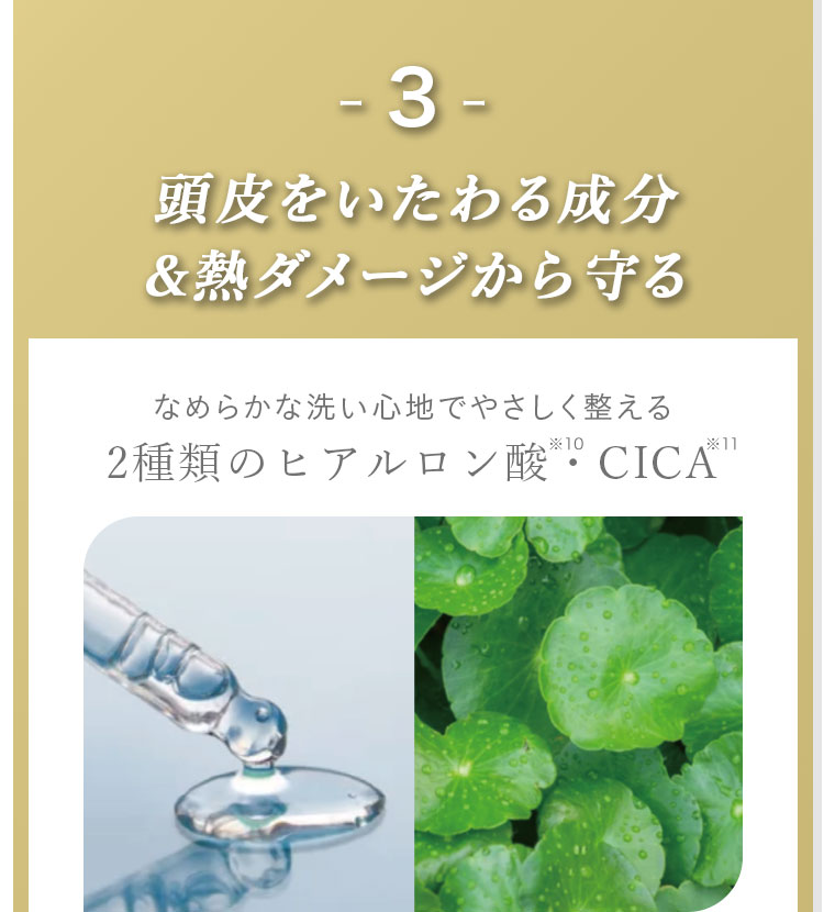 3。頭皮をいたわる成分＆熱ダメージから守る。なめらかな洗い心地でやさしく整える。2種類のヒアルロン酸、CICA。