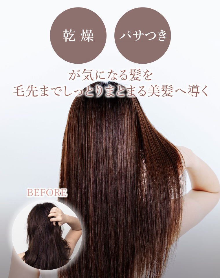 乾燥、パサつきが気になる髪を毛先までしっとりまとまる美髪へ導く。