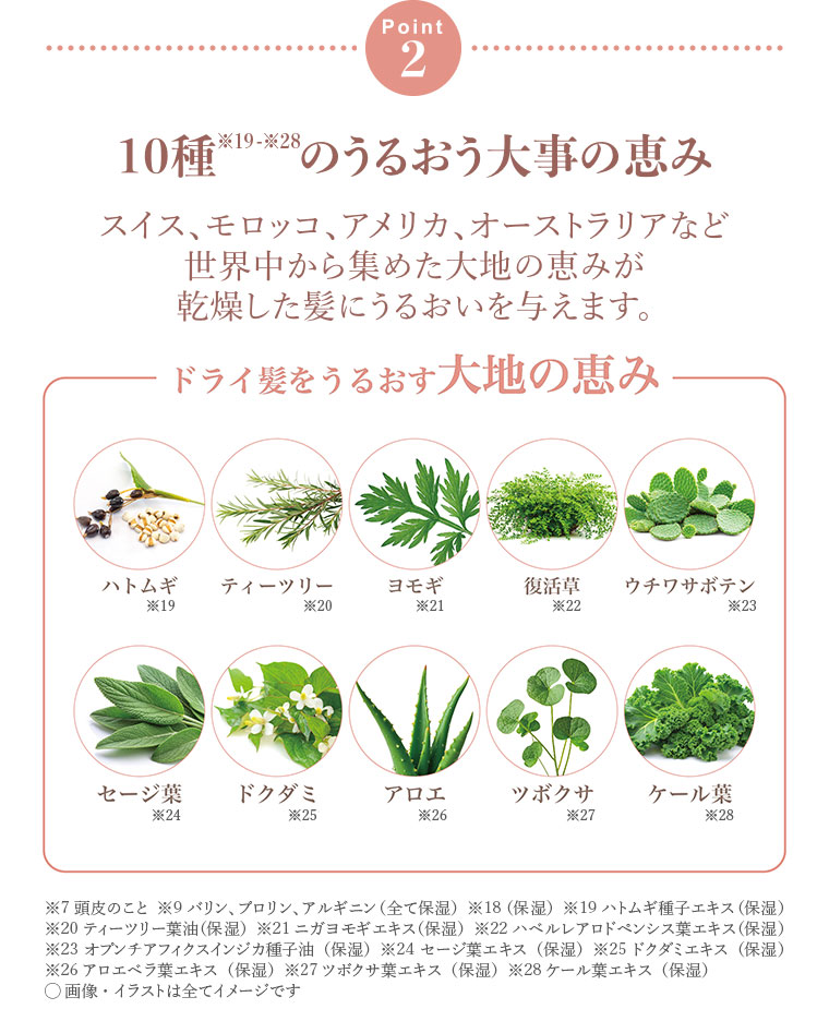 Point 2.10種のうるおう大地の恵み。スイス、モロッコ、アメリカ、オーストラリアなど、世界中から集めた大地の恵みが、乾燥した髪にうるおいを与えます。ドライ髪をうるおす大地の恵み、ハトムギ、ティーツリー、ヨモギ、復活草、ウチワサボテン、セージ葉、ドクダミ、アロエ、ツボクサ、ケール葉。注釈(詳細は本画像をご確認ください)。