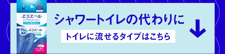 シャワートイレの代わりに。トイレに流せるタイプはこちら。