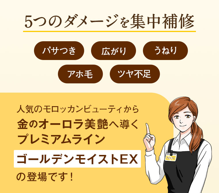 5つのダメージを集中補修。パサつき、広がり、うねり、アホ毛、ツヤ不足。人気のモロッカンビューティから、金のオーロラ美艶へ導くプレミアムライン ゴールデンモイストEXの登場です!