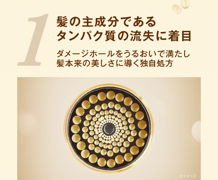 1.髪の主成分であるタンパク質の流失に着目。ダメージホールをうるおいで満たし、髪本来の美しさに導く独自処方。