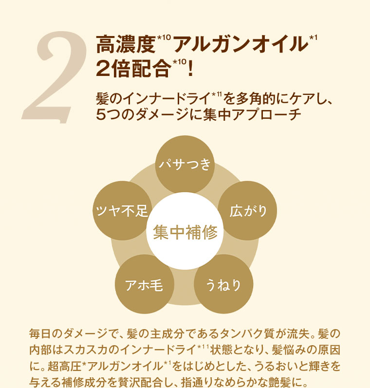 モロッカンビューティ】金のオーロラ美艶へ導くプレミアムライン