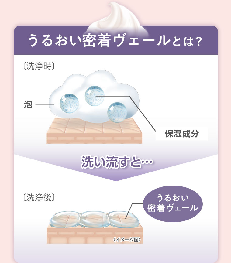 うるおい密着ヴェールとは？図(本画像をご確認ください)