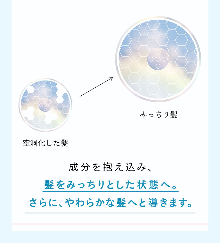 図(本画像をご確認ください)。成分を抱え込み、髪をみっちりとした状態へ。さらに、やわらかな髪へと導きます。