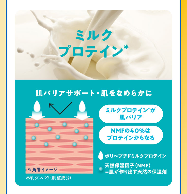 ミルクプロテイン。肌バリアサポート、肌をなめらかに。イメージ(本画像をご確認ください)。ミルクプロテインが肌バリア。NMFの40%はプロテインからなる。