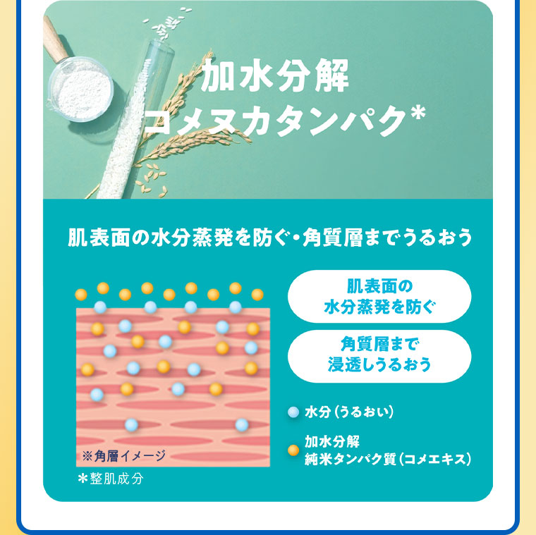 加水分解コメヌカタンパク。肌表面の水分蒸発を防ぐ、角質層までうるおう。イメージ(本画像をご確認ください)。肌表面の水分蒸発を防ぐ。角質層まで浸透しうるおう。