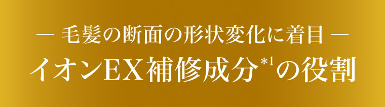 毛髪の断面の形状変化に着目。イオンEX補修成分の役割。