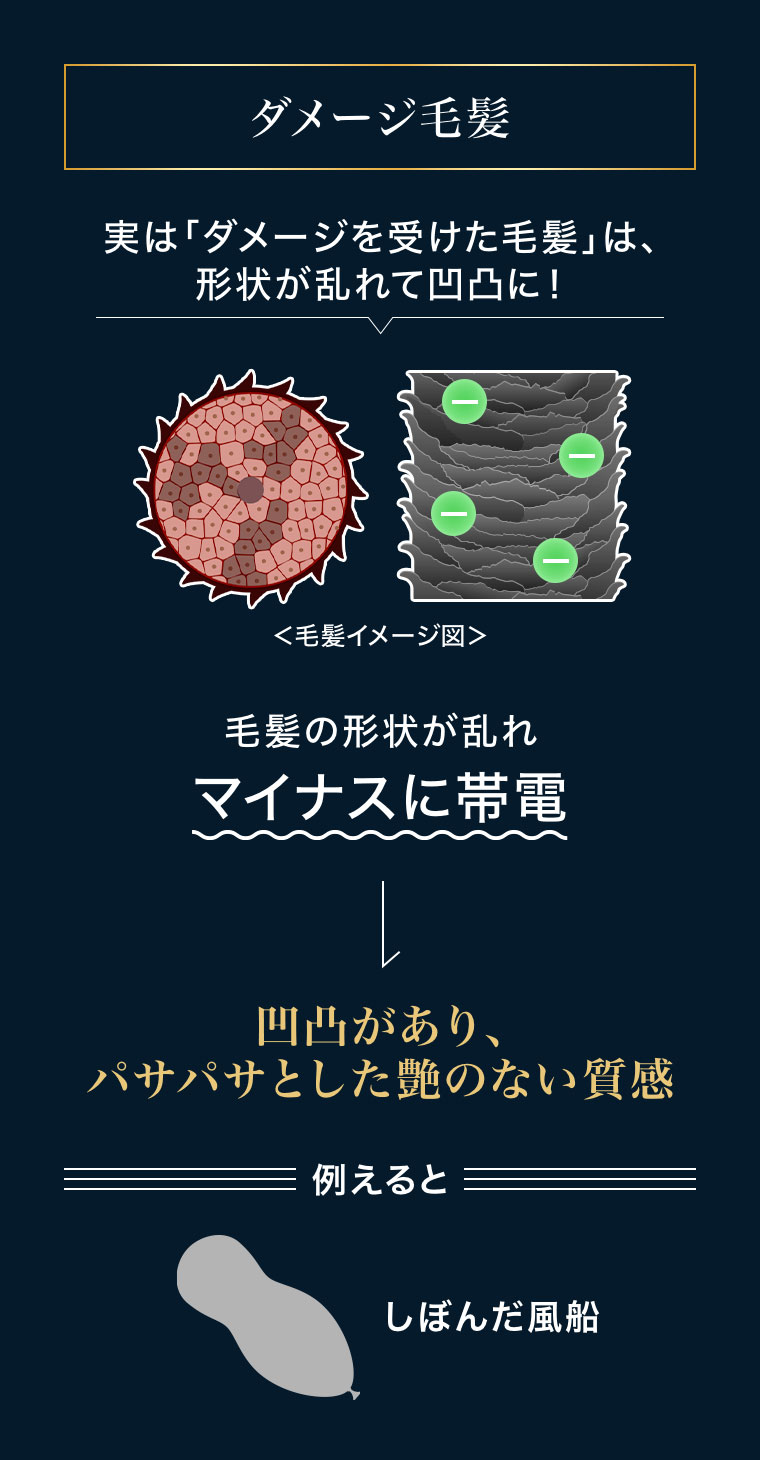 ダメージ毛髪。実はダメージを受けた毛髪は、形状が乱れて凹凸に！イメージ(本画像をご確認ください)。毛髪の形状が乱れ、マイナスに帯電。凹凸があり、パサパサとした艶のない質感。例えるとしぼんだ風船。