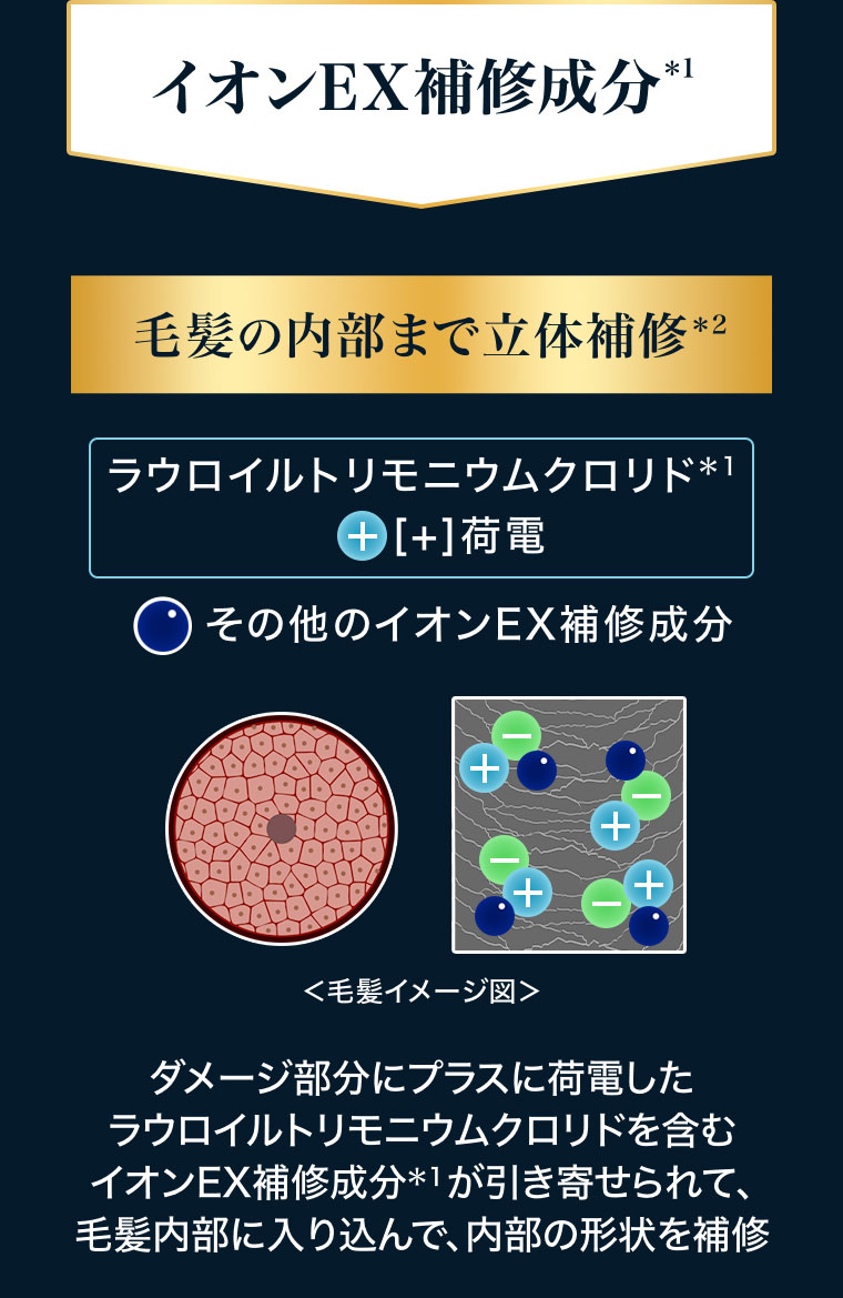 イオンEX補修成分。毛髪の内部まで立体補修。ラウロイルトリモニウムクロリド+[+]荷電。その他のイオンEX補修成分。イメージ(本画像をご確認ください)。ダメージ部分にプラスに荷電したラウロイルトリモニウムクロリドを含むイオンEX補修成分が引き寄せられて、毛髪内部に入り込んで、内部の形状を補修。