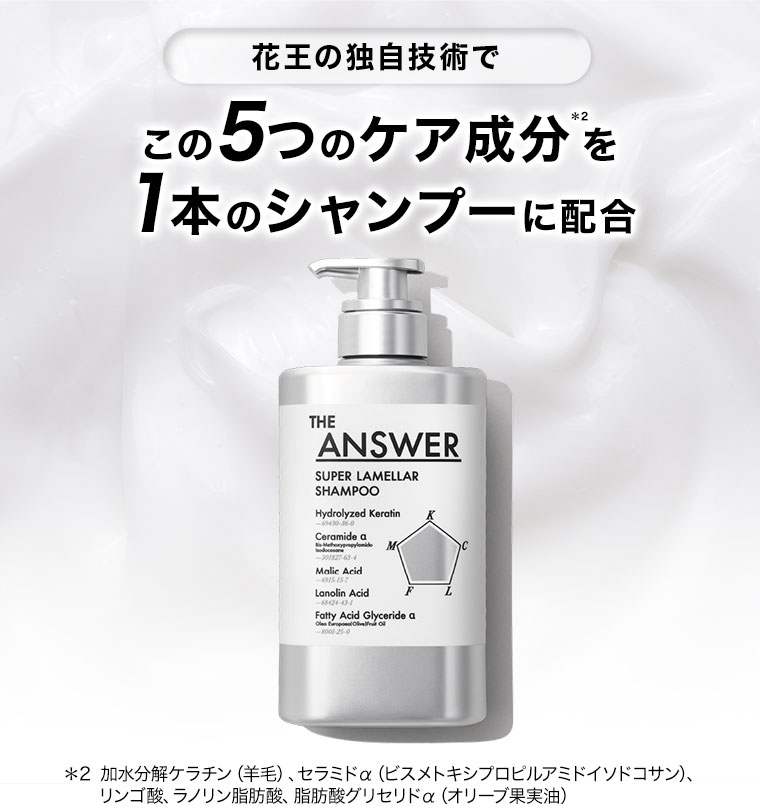 花王の独自技術で、この5つのケア成分を1本のシャンプーに配合。注釈(詳細は本画像をご確認ください)。