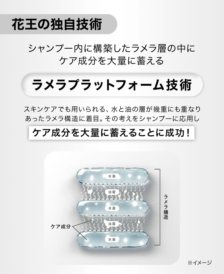花王の独自技術。シャンプー内に構築したラメラ層の中に、ケア成分を大量に蓄える、ラメラプラットフォーム技術。スキンケアでも用いられる、水と油の層が幾重にも重なりあったラメラ構造に着目。その考えをシャンプーに応用し、ケア成分を大量に蓄えることに成功！イメージ(本画像をご確認ください)。