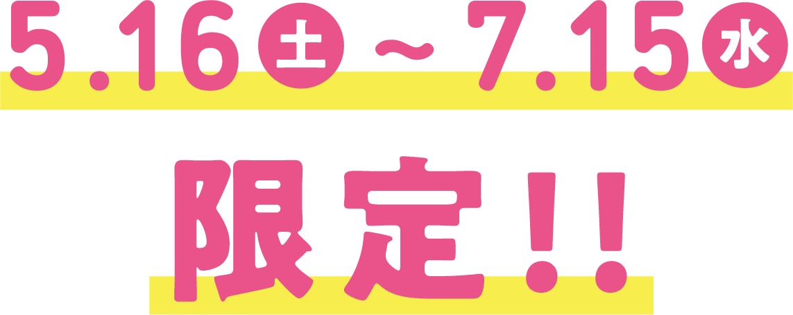 5.16(土)〜7.15(水)限定!! 