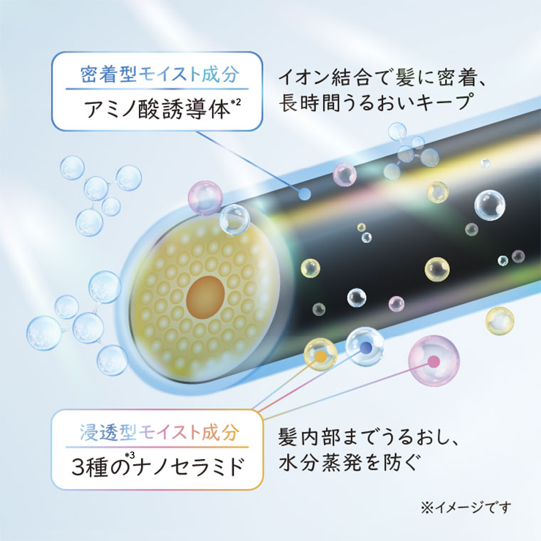 密着型モイスト成分、アミノ酸誘導体。イオン結合で髪に密着、長時間うるおいキープ。浸透型モイスト成分、3種のナノセラミド。髪内部までうるおし、水分蒸発を防ぐ。イメージ(本画像をご確認ください)。