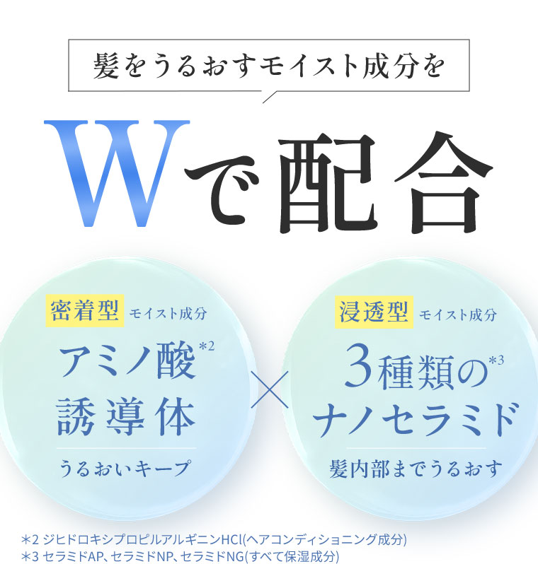 髪をうるおすモイスト成分をWで配合。密着型モイスト成分、アミノ酸誘導体、うるおいキープ。×浸透型モイスト成分、3種類のナノセラミド、髪内部までうるおす。注釈(詳細は本画像をご確認ください)。