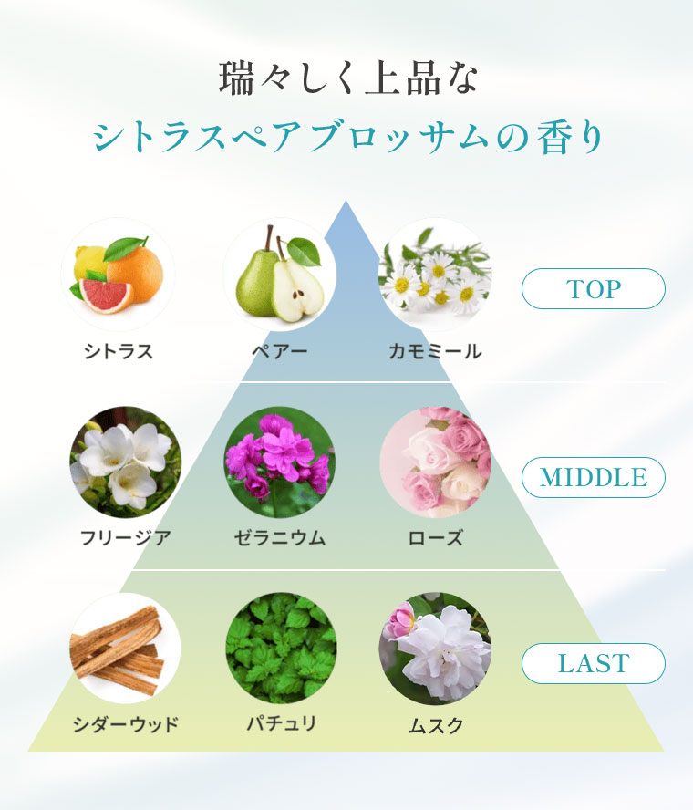 瑞々しく上品なシトラスペアブロッサムの香り。図(本画像をご確認ください)。