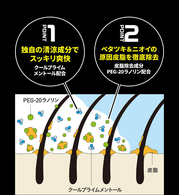 POINT 1、独自の清涼成分でスッキリ爽快。クールプライムメントール配合。POINT 2、ベタツキ&ニオイの原因皮脂を徹底除去。皮脂除去成分、PEG-20ラノリン配合。イメージ(本画像をご確認ください)。