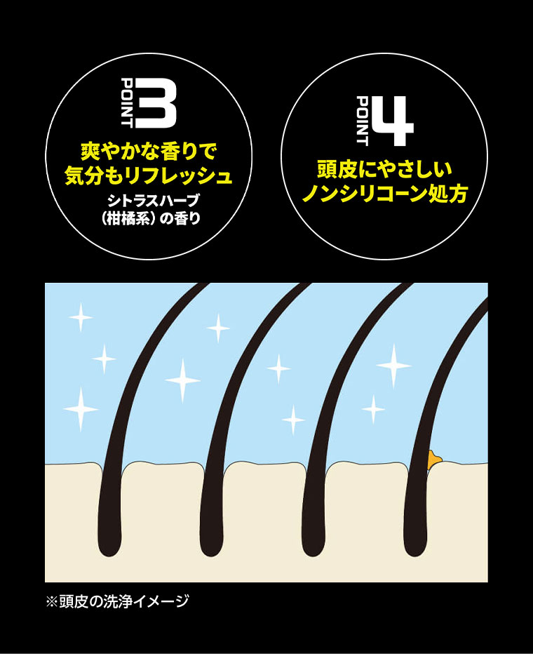 POINT 3、爽やかな香りで気分もリフレッシュ。シトラスハーブ(柑橘系)の香り。POINT 4、頭皮にやさしいノンシリコーン処方。イメージ(本画像をご確認ください)。