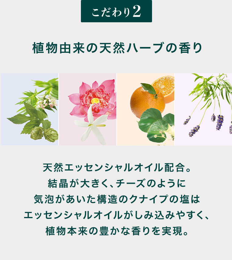 こだわり2、植物由来の天然ハーブの香り。天然エッセンシャルオイル配合。結晶が大きく、気泡があいた構造のクナイプの塩はエッセンシャルオイルがしみ込みやすく、植物本来の豊かな香りを実現。