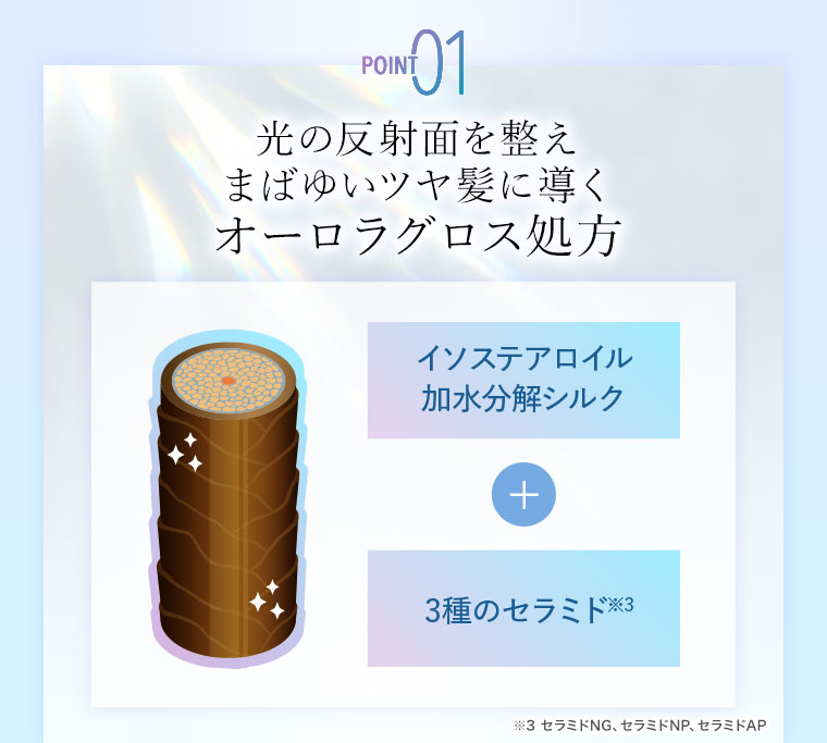 POINT01 光の反射面を整え、まばゆいツヤ髪に導く、オーロラグロス処方。図(本画像をご確認ください)。イソステアロイル加水分解シルク+3種のセラミド。注釈(詳細は本画像をご確認ください)。