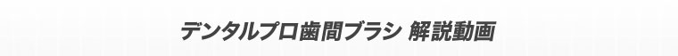 デンタルプロ歯間ブラシ 解説動画。