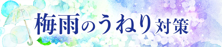 梅雨のうねり対策。