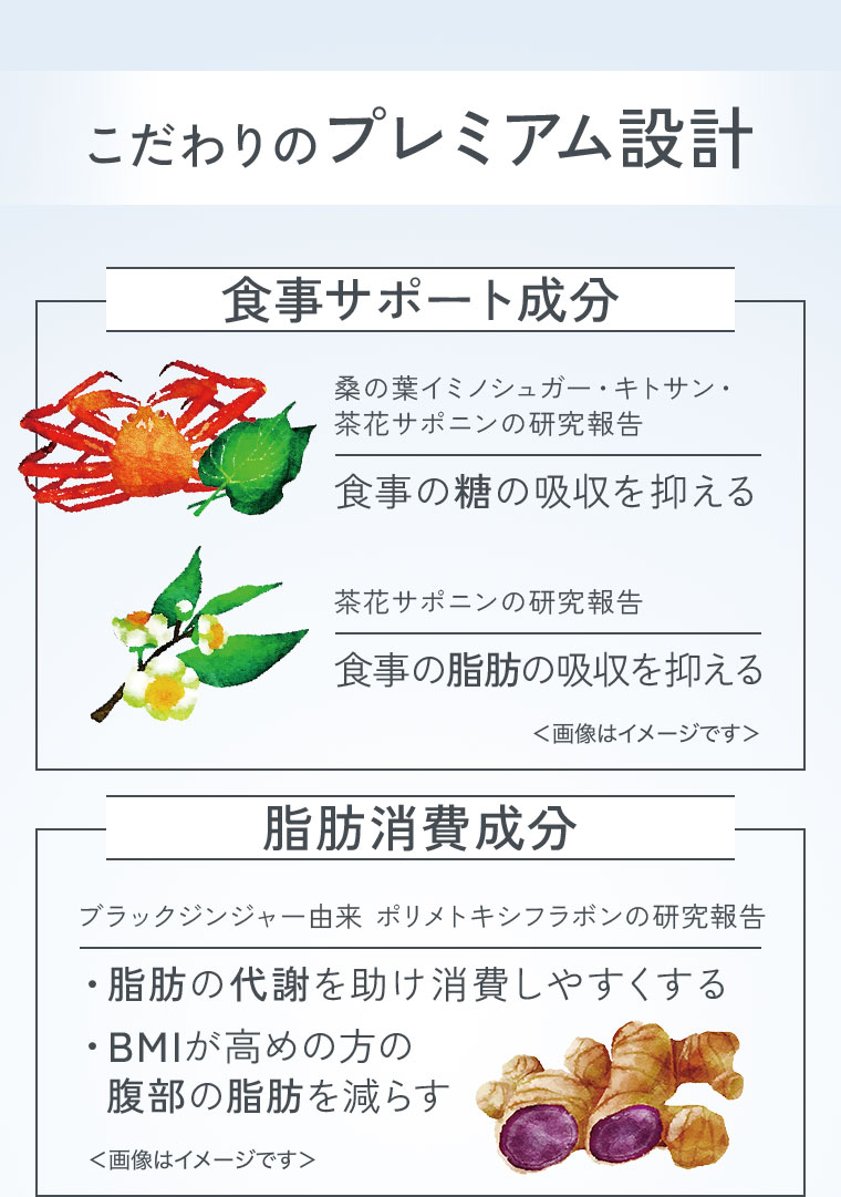 こだわりのプレミアム設計。食事サポート成分、桑の葉イミノシュガー・キトサン・茶花サポニンの研究報告。食事の糖の吸収を抑える。茶花サポニンの研究報告。食事の脂肪の吸収を抑える。脂肪消費成分、ブラックジンジャー由来 ポリメトキシフラボンの研究報告。脂肪の代謝を助け消費しやすくする。BMIが高めの方の腹部の脂肪を減らす。