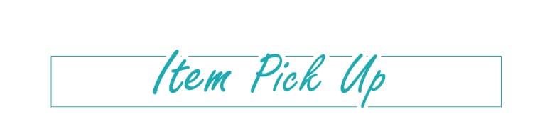 Item Pick Up